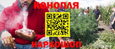 гашик Лесосибирск