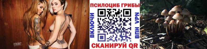 Псилоцибиновые грибы Cubensis  где купить   Шатура 